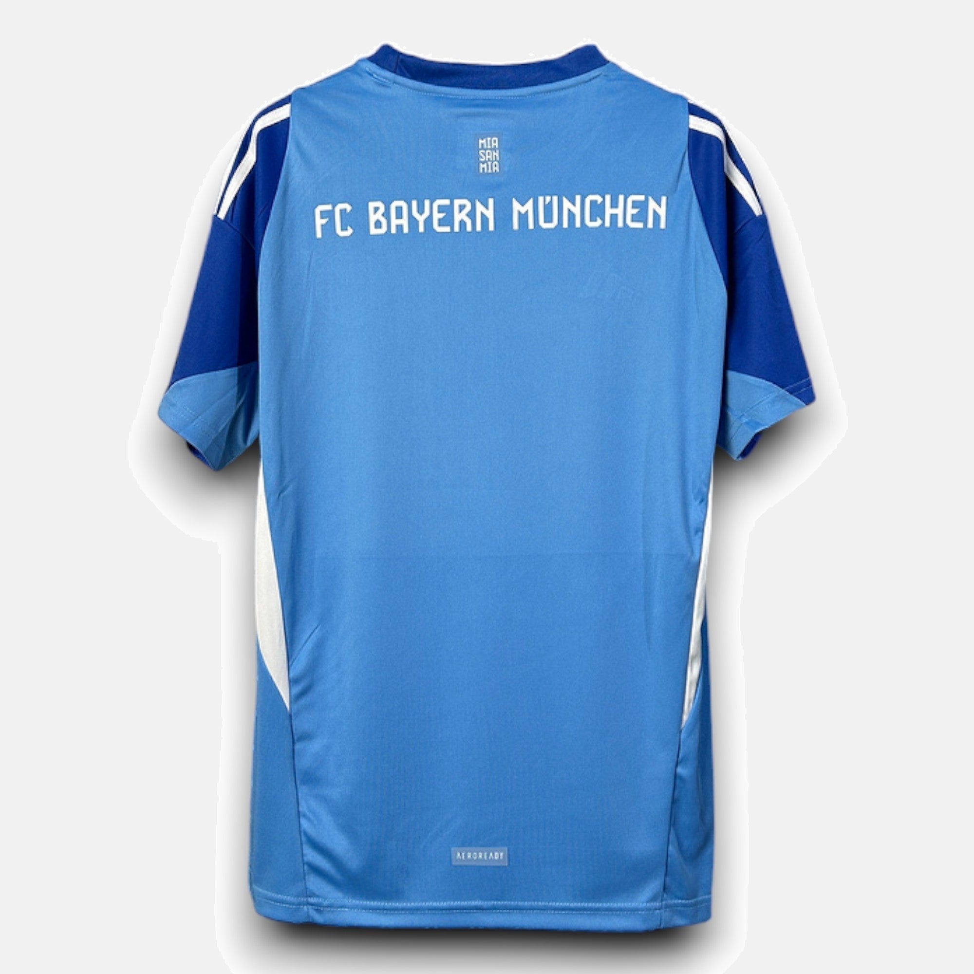 Bayern Munich Goalkeeper Blue Jersey 2025/26